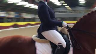 Accent Music winning freestyle Demi Haerkens  Dude Grade IV Para Dressage [upl. by Fairley]