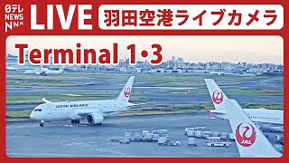 【ライブカメラ】羽田空港 quotT1quot quotT3quot HANEDATokyo International Airport（日テレNEWS LIVE） [upl. by Aleece]