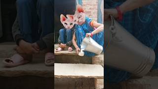 🍚Lalla 🍚😸🍚🍚😸Lalla 🙏🍚 Lori 😸😸🙏 short video funny [upl. by Dnalyram101]