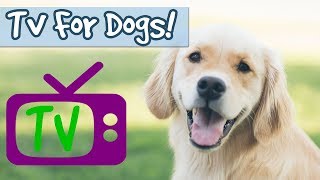 Dog Chill Out TV Entertainment for Bored Dogs Nature Visuals Combined with Relaxing Music for Dogs [upl. by Limaj]