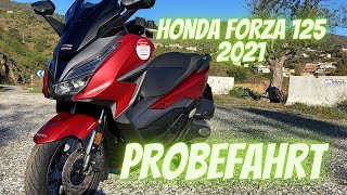 DER NEUE Honda Forza 125 2021 🔥 Probefahrt Soundcheck 0100 kmh  DEUTSCHGERMAN VLOG127 4K [upl. by Conroy234]