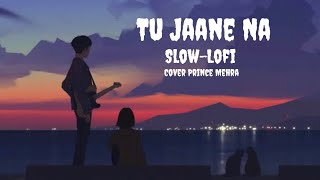 Tu Jaane Na  SlowLofi  Prince Mehra  Ajab Prem Ki Ghazab Kahani  Atif Aslam  Ranbir  Katrina [upl. by Ternan]