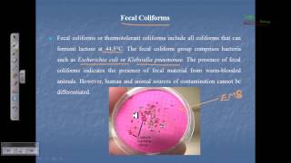 Indicator organism fecal coliform total coliform [upl. by Ymmot720]