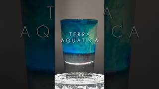 Terra Aquatica cocktail shot  shorts cocktail shots [upl. by Einnal]