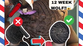 MUST SEE 540 WAVES HAIRCUT  END OF 3 MONTH WOLF• SELF CUT TRANSFORMATION• [upl. by Lorianne]