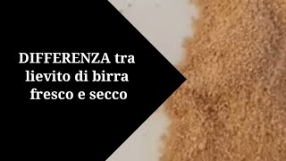 Differenza tra lievito di birra fresco e secco e come sostituirlo nelle ricette [upl. by Dlareme]