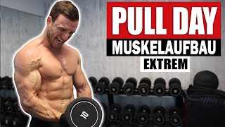 20 Min PULL DAY Workout für Zuhause mit Kurzhanteln  Rücken Bizeps  Sascha Huber [upl. by Lirrad]