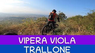 MTB Calenzano Travalle 03082024 sentiero VIPERA VIOLA TRALLONE [upl. by Pik324]