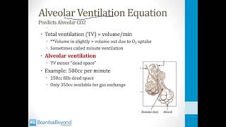 Pulmonary USMLE Step 1 — Ventilation and Perfusion — Boards and Beyond [upl. by Ihcelek]