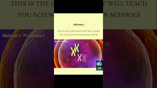 Meiosis animation Meosis 1 Meosis 2 Difference between meosis 1 and meosis 2 [upl. by Buchalter]