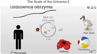 Wielkość rozmiar wszechświata  fizyka od podstaw [upl. by Nayt]