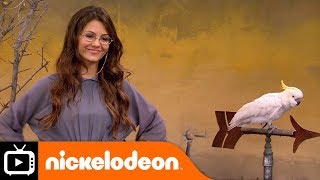 Victorious  The Bird Scene  Nickelodeon UK [upl. by Ideih164]