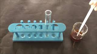 Saponin Foam Test  Chemical Identification By Saponin Foam Method  Saponin Test  सैपोनिन टेस्ट [upl. by Barbaresi933]