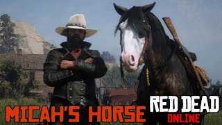 Baylock Micahs Horse in Red Dead Online [upl. by Schurman194]