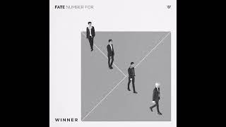 WINNER  REALLY REALLY Audio [upl. by Hurley]