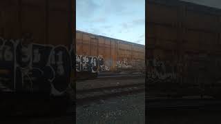 Csx railcar and old up railcars at Galveston sub railfan [upl. by Devine]