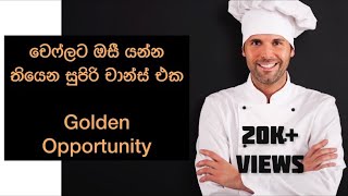 ඔස්ට්‍රේලියාවේ ඉහලම ඉල්ලුම ඇති රැකියාවක් Chef  How to Migrate to Australia  Subscribe to Daddy 360 [upl. by Wayolle]