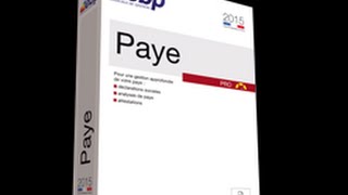 EBP Paye 2015  Les acomptes et avances sur salaires [upl. by Egdirdle23]