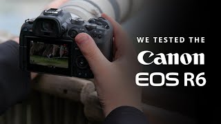 Testing the Canon R6 for Bird Photography  Autofocus Performance Image Quality amp IBIS [upl. by Bois]