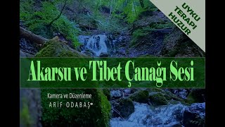 Su Sesi Doğal Terapi Uyumak İçin Rahatlatıcı Meditasyon Dere ve Tibet Çanağı Sesi [upl. by Abana]