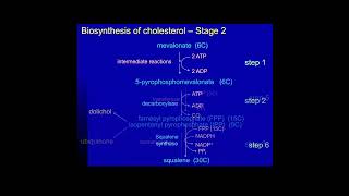 Cholesterol Biosynthesis Metabolism Made Easy [upl. by Sakul]