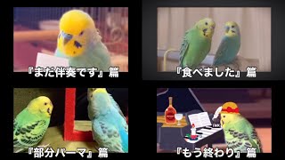 パロディ動画【ホットペッパーアフレコCM】4篇まとめ [upl. by Xena951]