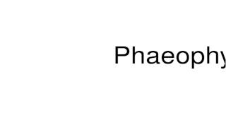 How to pronounce Phaeophyta [upl. by Tiernan]