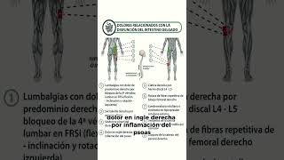 ☢️Disfunción del intestino delgado y patologías asociadas🚨 [upl. by Kironde]