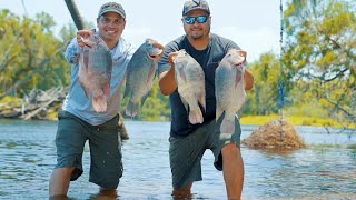 Increible Lugar de Tilapias Gigantes  Pesca y Cocina [upl. by Hoffert719]