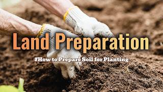 Land Preparation How to Prepare Soil for Planting [upl. by Tibbs]