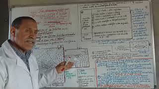 LA GEOLOGIEle granite intrusif et sa relation avec les roches encassantes [upl. by Prudhoe]