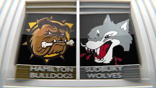 Game 60 Highlights Hamilton Bulldogs  Sudbury Wolves [upl. by Nageek775]