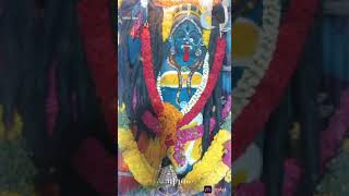 Sri Vana pechi Amman Shri Vana Bhadrakali Amman [upl. by Aoh]