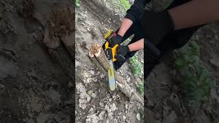 This chainsaw is so easy to usechainsaws hardwaretools viralvideo foryou [upl. by Wendolyn660]