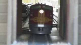 Huge amounts of G Scale Trains [upl. by Neely]