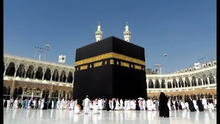 Labbayk Allahumma Labbayk  Hajj Thalbiyah  Repeated [upl. by Anitniuq832]