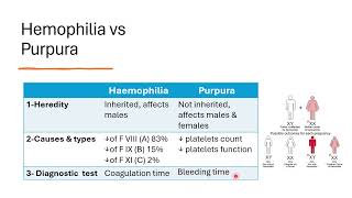 2 hemostasis disorders and erythrocytes [upl. by Yziar]