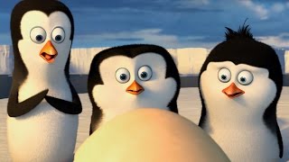 Penguins of Madagascar Review An Earthbound Spinoff [upl. by Eldreda]