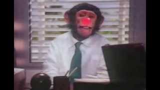 PG Tips Chimps Comic Relief Ad 1990 [upl. by Ahcas]