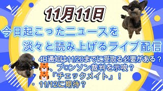 今日起こったニュースを淡々と読み上げるライブ配信 11月11日 [upl. by Prader]