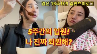 유라브이로그임신 16주차5주간의 입원 끝그런데 4일만 퇴원뿌링클때문에 남편이랑 싸우는 애ㅋㅋㅋ [upl. by Cutty]