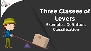 Three Classes of Levers  Examples Defintion Classification [upl. by Anelrac]