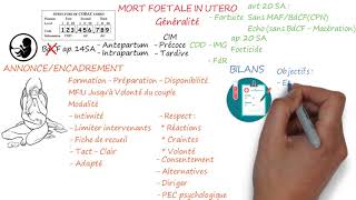 MORT FŒTALE IN UTERO Première Partie  Généralité [upl. by Threlkeld]