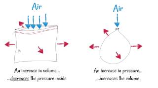 Inhaling and Exhaling  How breathing works [upl. by Derina]