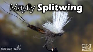 Mayfly Splitwing  Flugbindning  Svenskaflugorse [upl. by Ttik]