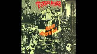 Terrorizer  Storm of Stress Official Audio [upl. by Aerdnahc808]