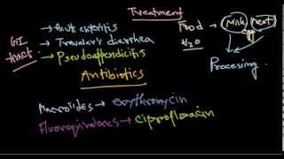 Campylobacter treatment [upl. by Korman]