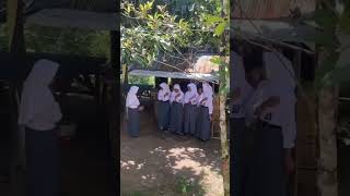 Nasionalisme di kebun pertanian smkn11bulukumba [upl. by Alby]