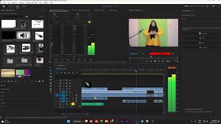 Cara Record Audio di Adobe Premiere Pro [upl. by Aserret31]