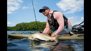 Goliath Grouper jacks trout and snook You name it this SUP hybrid caught it [upl. by Karlen]